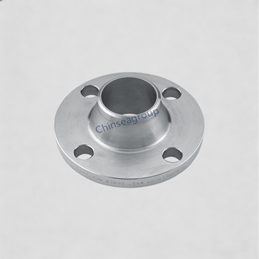 stainless steel flange